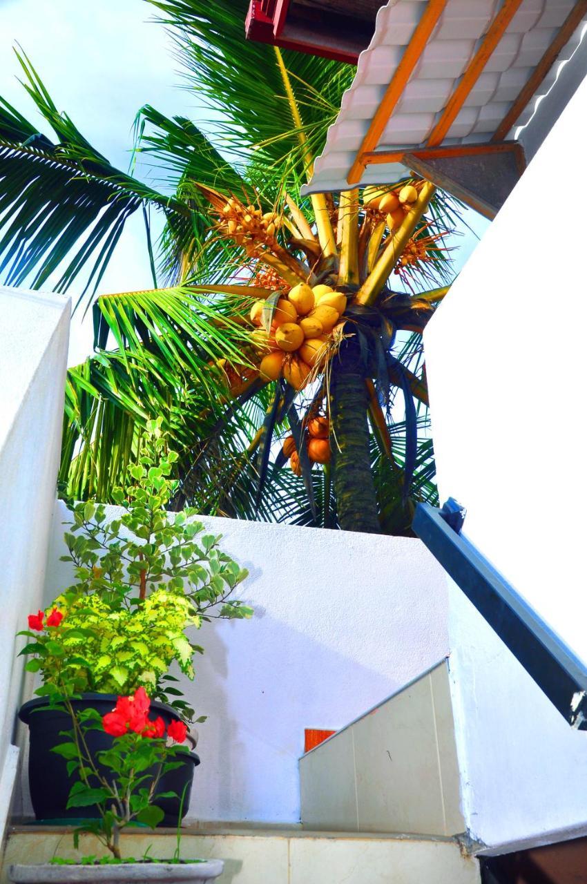 Senero House Hotel Bentota Buitenkant foto